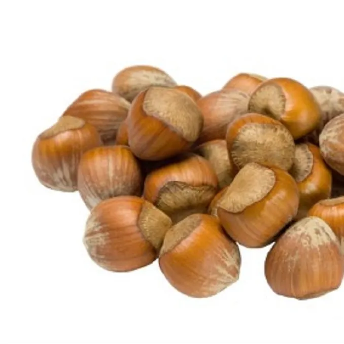 Suppliers Roasted Hazelnut Cobnut Dry Hazelnuts for Sale Chinese Bag OEM Shell Box Style Packaging FOOD Organic Color Package