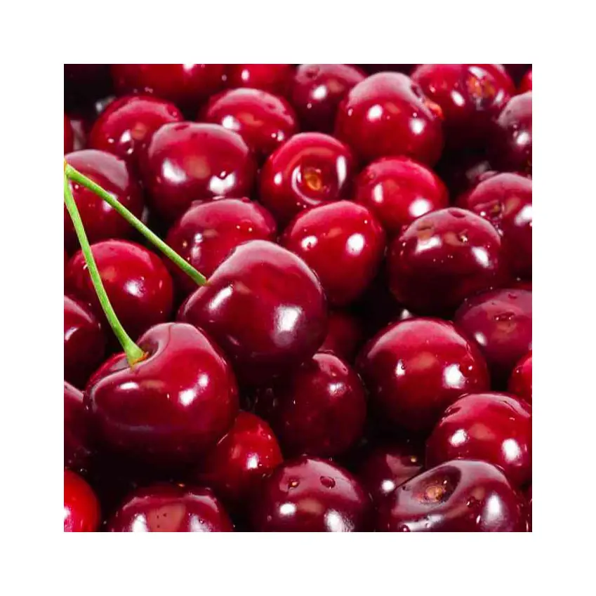 Wholesale Fresh Natural Hot selling top Fresh Cherry 100 % organic Matured Quality