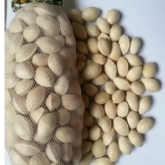 Best Price dried Quality Ginkg-o Nuts For Sale wholesale