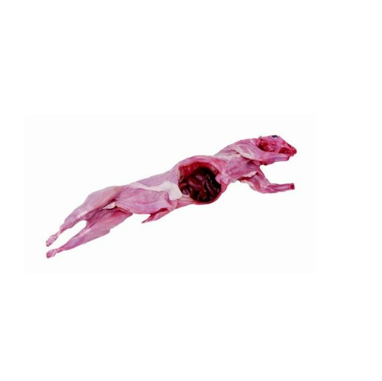 Frozen Rabbit Meat for Sale - Competitive Price and Quality