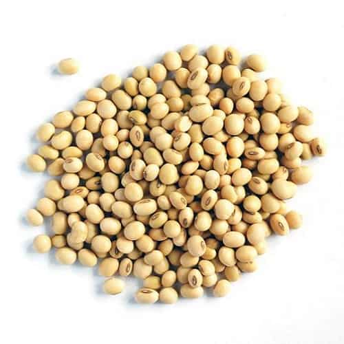 Vietnam Soybean Wholesale Prices private label Hot Food Supplier Selling Non GMO Healthy Soybean