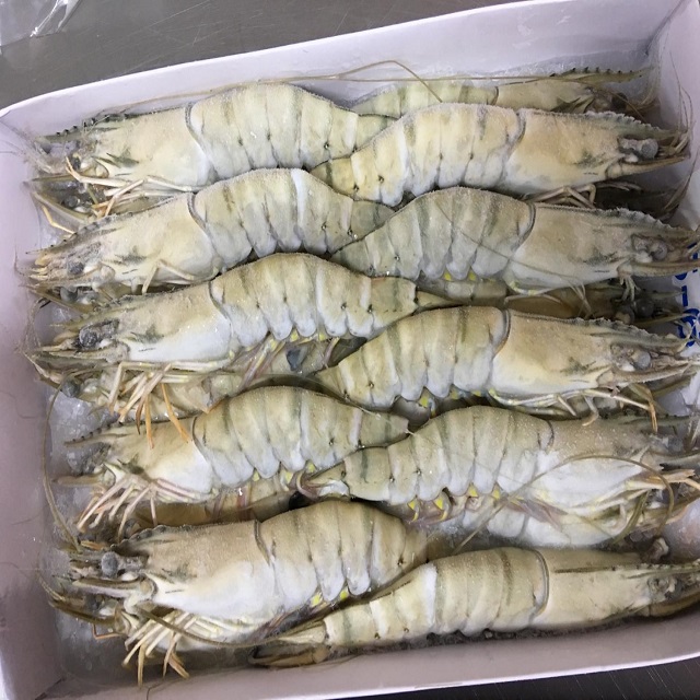 Морские Замороженные Черные тигровые креветки