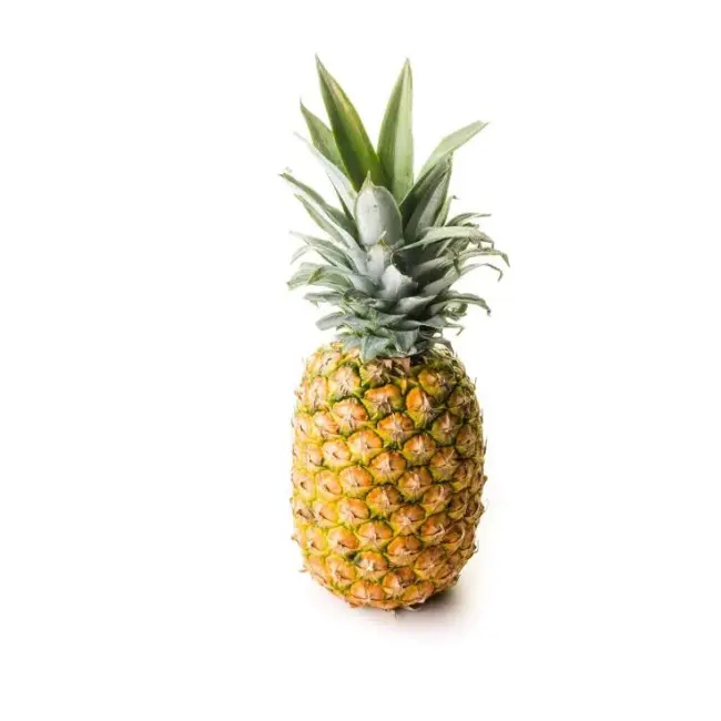 New Crop Pineapple Fruit Organic Tropical Pineapple Fruit With Competitive Price Fresh Pineapple