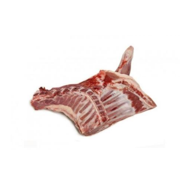 Wholesale Variety of Lamb or sheep long loin Parts Frozen Lamb Meat Fresh High Quality Boneless Lamb Meat