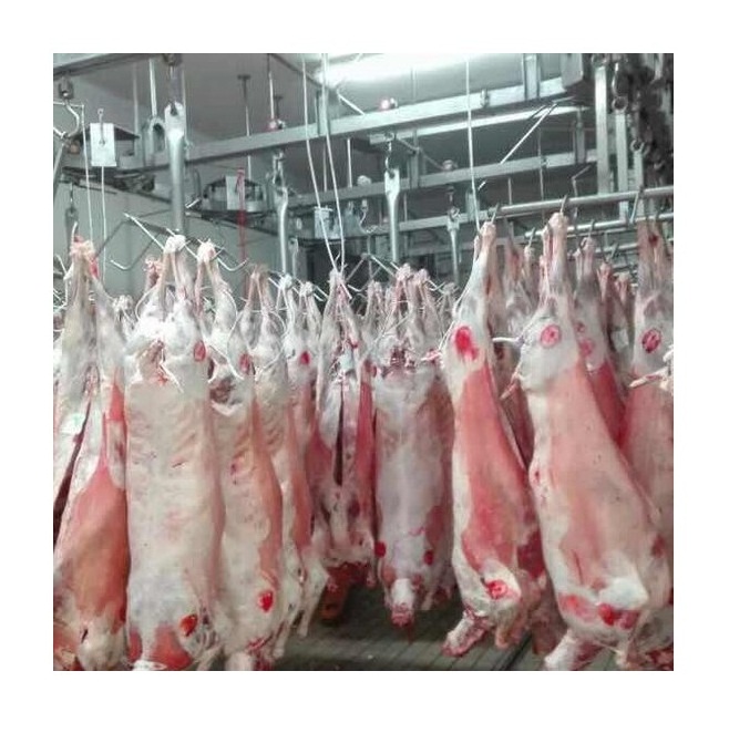 Пакет замороженного ягненка с халяльным мясом ягненка, высококачественное мясо для овец с сроком годности 18-24 месяцев, свинцовая ножка 25 кг от BE frozen lamb
