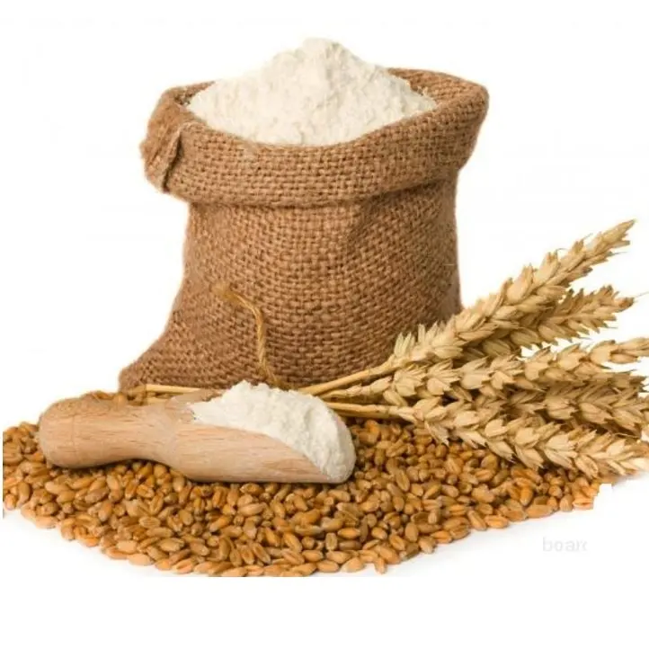 High Quality grain wheat whole wheat grains sell wheat grain
