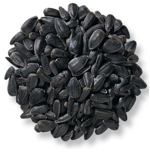 High Quality Sunflower Seeds Black Wholesale Best Quality Sunflower Kernel