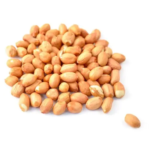 Good quality Peanuts kernel specification raw blanched red skin peanuts for sale.