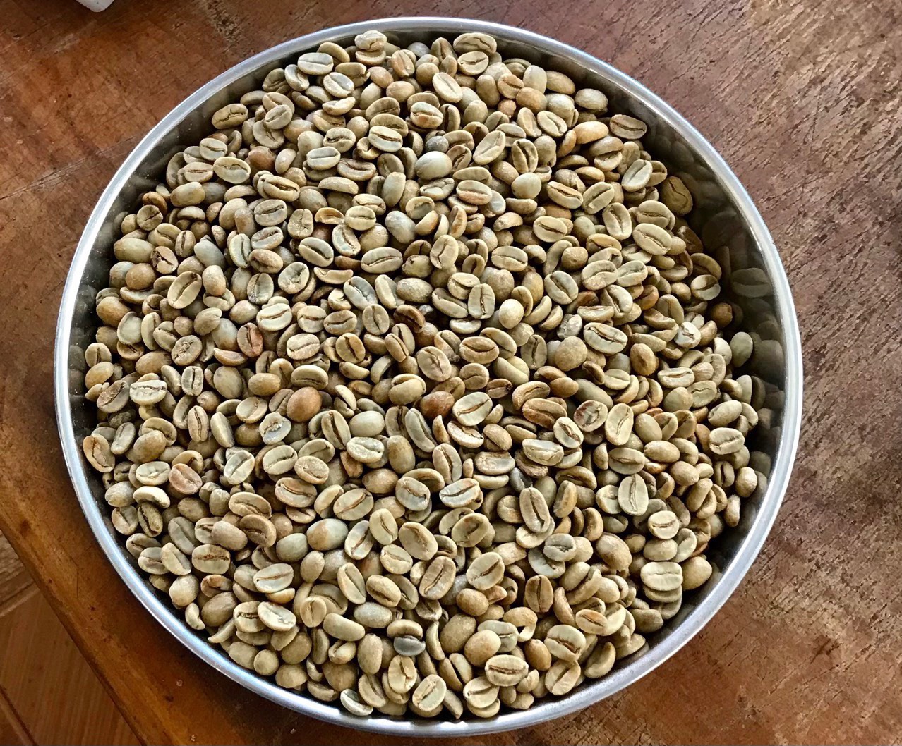Green Arabica & Robusta Coffee Beans Raw Green processed for Coffee Roaster Direct Wholesaler Contact Carolina +84 976727907
