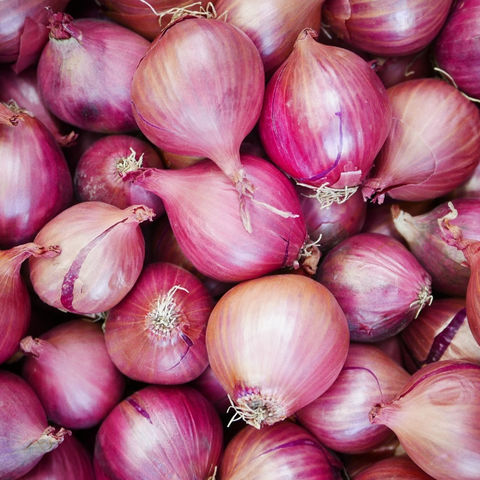 Import Fresh Vegetables Onion Wholesale Red Onion With Good Customer Price 100% Fresh Red and Yellow Onions