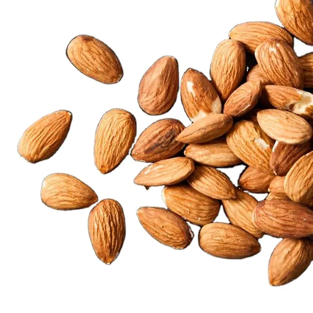 100% High Quality blanched almond/Almond Kernels/Apricot Kernel Almond for sale