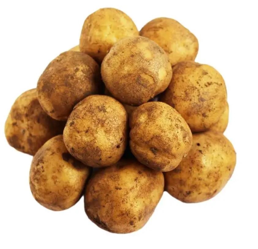 Свежий картофель