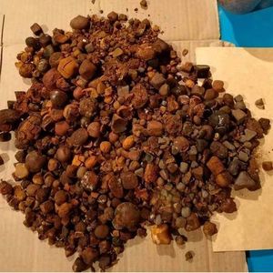 Органический сушеный камень бычьей коровы на продажу