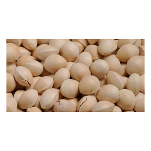 Wholesale shelled ginkgo nuts / high nutrition organic delicious ginkgo nuts