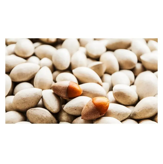 Best Price Dried Ginkgo Nuts Bulk Stock Available With Customized Packing