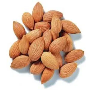 Cheap Price Fast Shipping Dried Apricot fresh apricot kernels Low Price