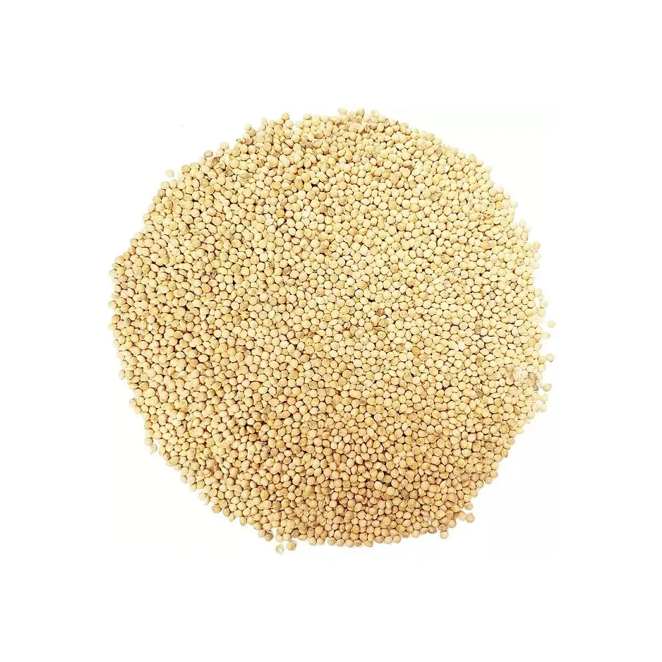 Brazil factory wholesale yellow millet price Yellow Millet Glutinous Millet for Bird Feed