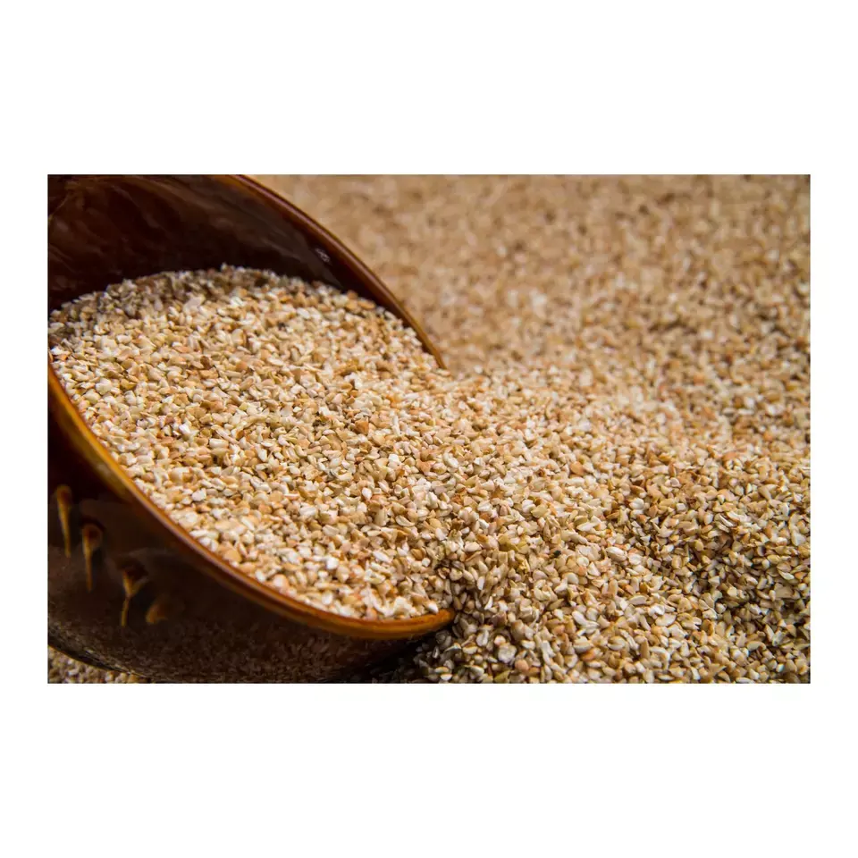 Soft and Hard Wheat Grains / Premium Quality Soft Milling Wheat, wheat grain in bulk for sale