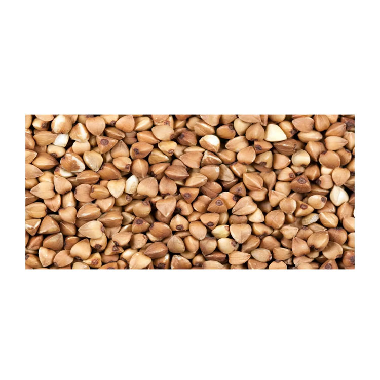 Export Buckwheat With Wholesale Market Price Buckwheat