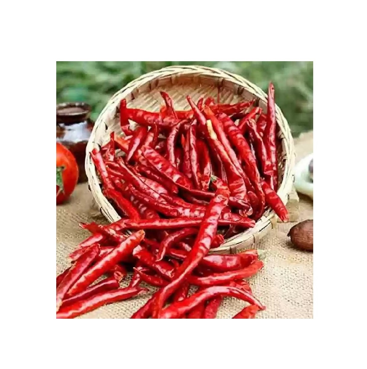 High on Demand Food & Beverage Red Chili for Cooking Spice Red Chilli Available for Sale from Indian Exporter