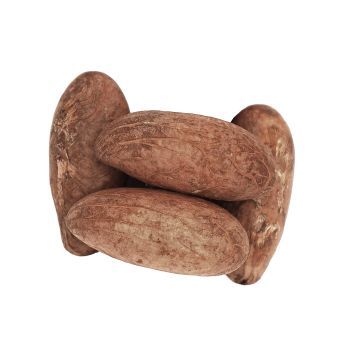 High Quality Bitter Kola Nut (Cola Nuts) Fresh organic West african Bitter kola not-Garcinia Kola