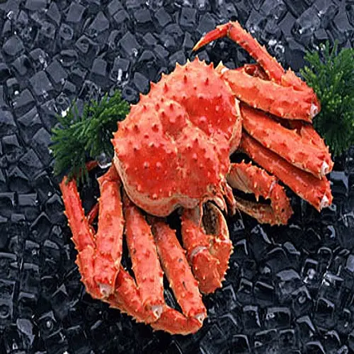 Frozen King Crab, Live King Crabs, King Crab Legs for sale wholesale supplier