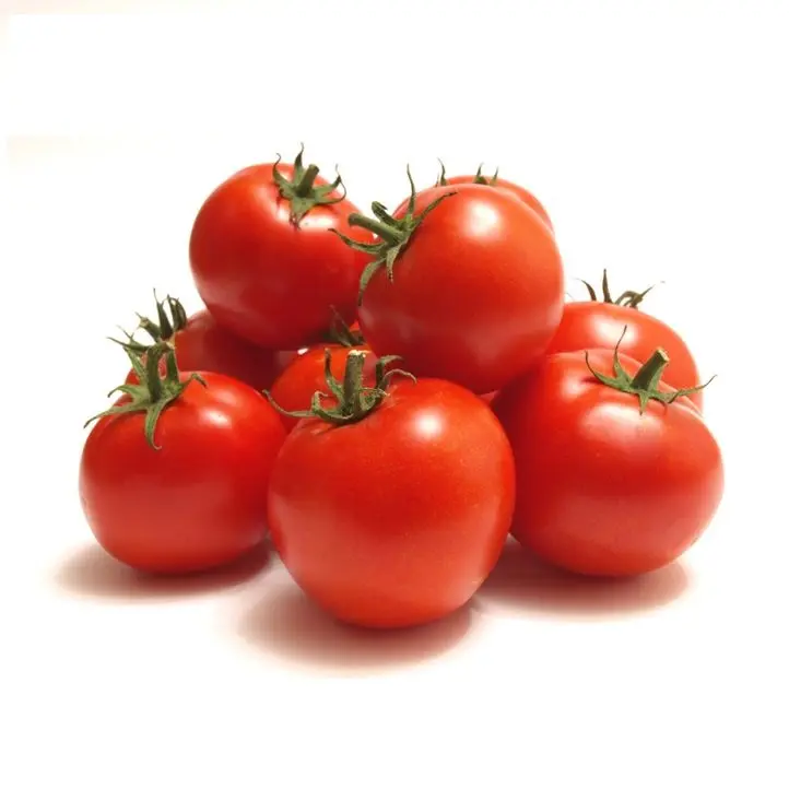 Manufacturer Direct Factory High Quality Tomato Factory Price Export Orined Wholesale Cheap Price Fresh Tomato From Bangladesh