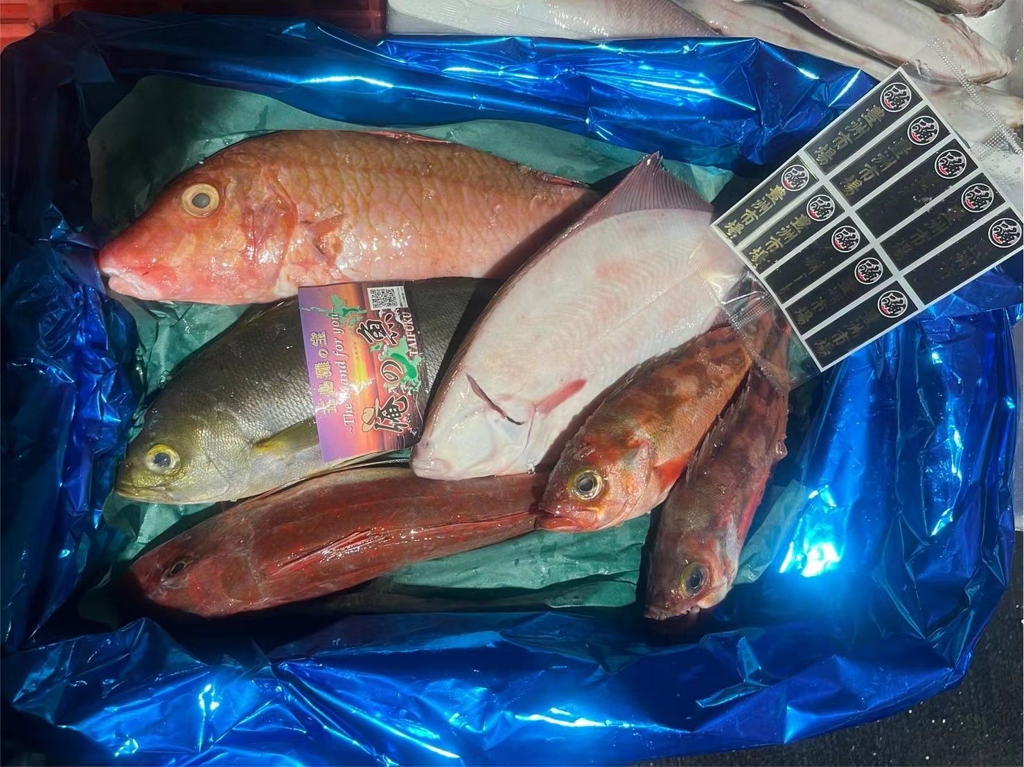 Other Seafood Importers Shop Prices Stock Half Oysters Fresh Frozen Sea Shellfish