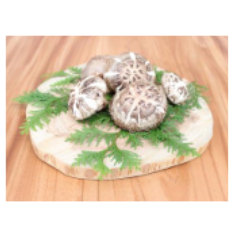 Highly Recommended Original Product Price of Fresh Shiitake Mushrooms Truffles Supplier