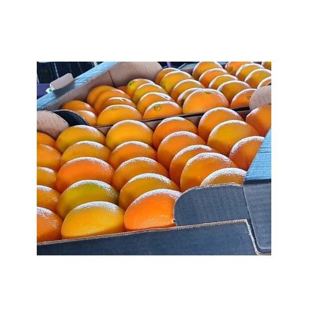 FRESH CITRUS FRUITS - Valencia/Navel Orange, Lime/Lemon, Mandarin Oranges, Citrus,Tangerines for sale From Canada