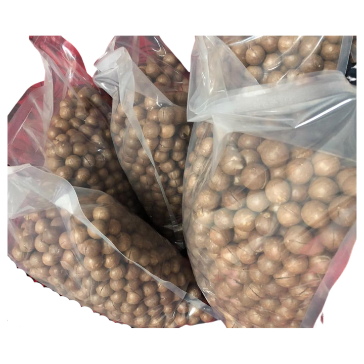 Bulk Macadamia Nuts with Shell from Vietnam: High-Quality Organic Nuts