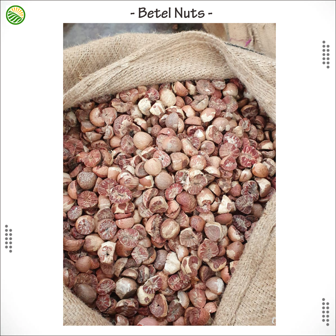 Лучший BETEL NUT! 100% Индонезии; Сделаны из натурального коричневого цвета молодых сушеный орех катеху экспортного качества