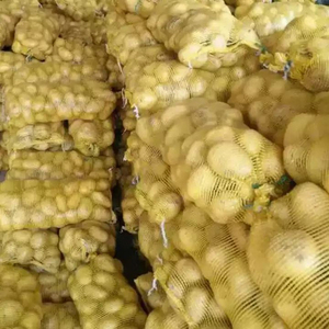 Самая популярная овощная свежая Картофельная экспорт Картофеля Оптовая цена