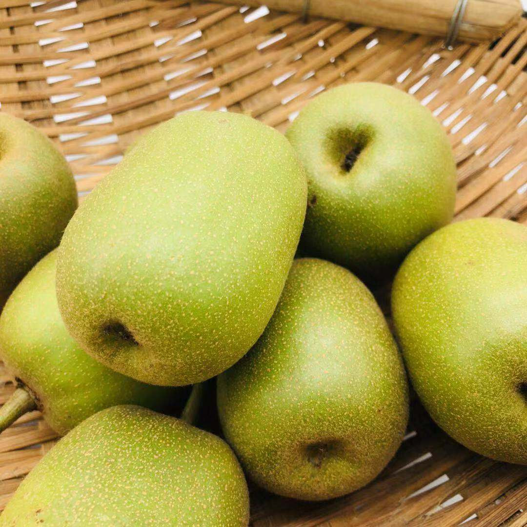 Качества продукт IQF замороженный ломтик киви, нарезанный кубиками