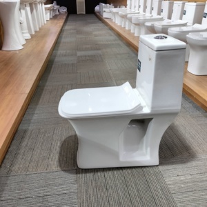European Modern Style Ceramic One-Piece Bathroom Toilet Bowl Dual Flush WC Set S-Trap Rimless Drainage Water Closet Price