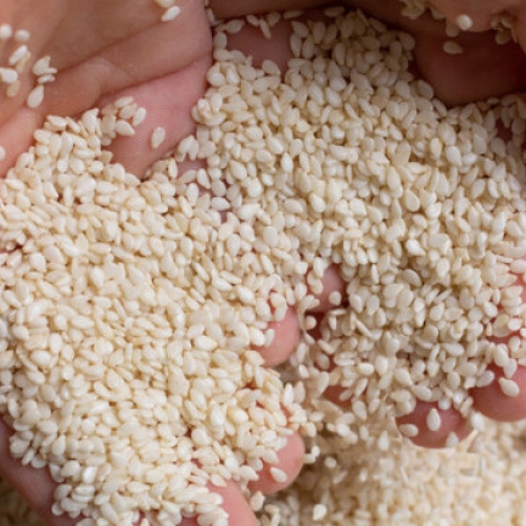 100 % Pure Natural Hulled Sesame Crop Agriculture Product Spices and Herbs High-quality natural roasted sesame seeds Economical
