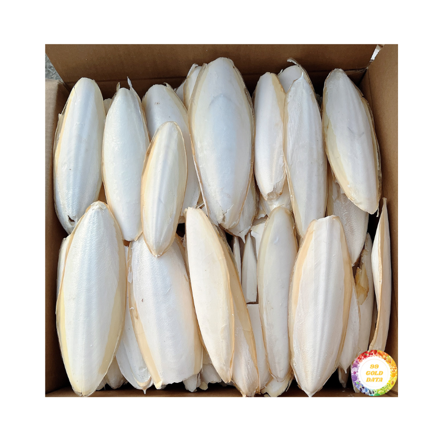 Cuttlefish Bone Ossa Sepia Squid Bone For Pet Parrot From Vietnam Factory Competitive Price Private Label Packing