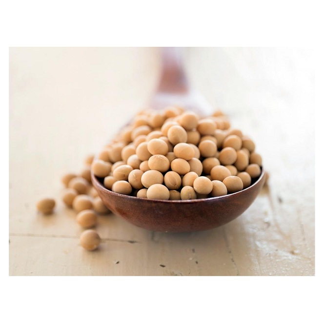 Best Price Organic Canadian Soybean / Dried Soya Beans Bulk Stock Available With Customized Packing