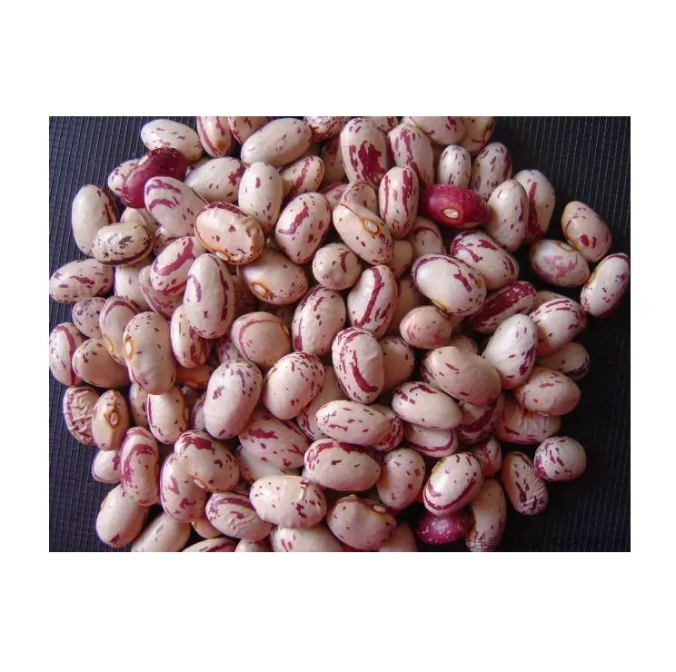 High Quality Hot Selling Light & Dark Speckled Pinto Beans at Bulk Price