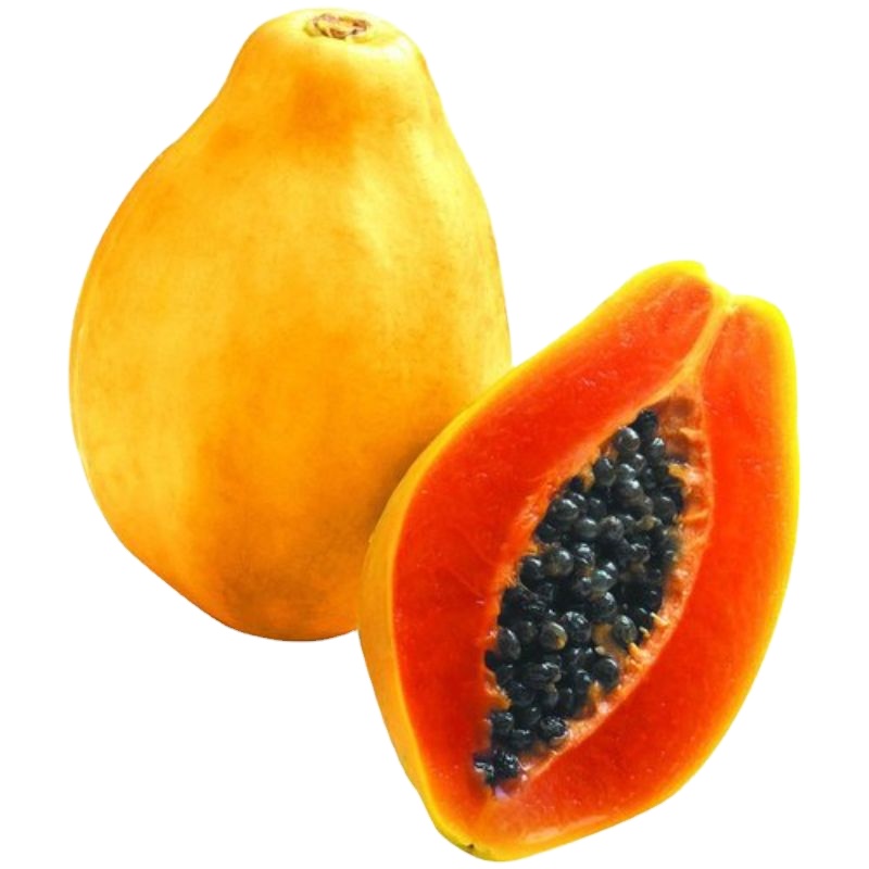 Papaya red glory f1, производственная компания, розовато-красный Op Verity