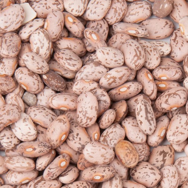 Премиум Pinto Beans/натуральная сушеная легкая зернистая фасоль Pinto Beans для продажи