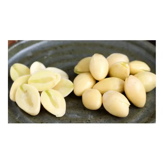 Wholesale shelled ginkgo nuts / high nutrition organic delicious ginkgo nuts