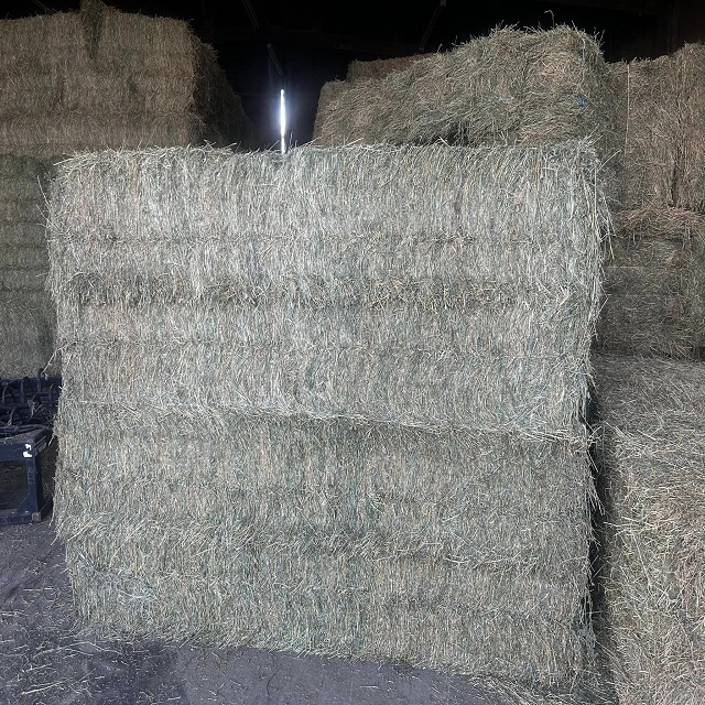 Very cheap price / Quality Rhodes Grass Hay Alfalfa Animal Feed Alfafa Hay for Animal Feeding