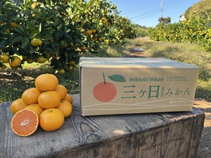 Perfect Flavored Product Oem Supplier Food Beverage Fruit Drinks