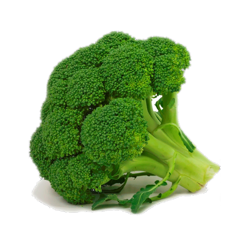 Certified Bangladeshi Supplier Top Best Quality Fresh Broccoli Green Frozen Vegetables New Crop Vitamins Healthy Frozen Broccoli