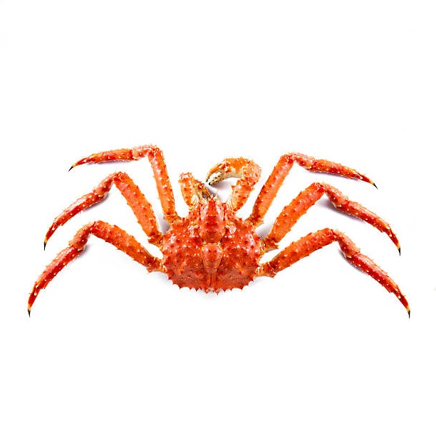 Королевский Краб из Аляски, Королевский Краб из Аляски, свежие замороженные и живые грязевые крабы, красные королевские крабы