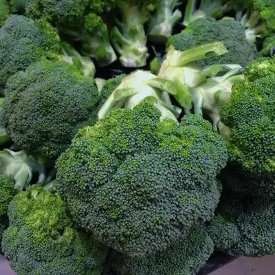 wholesale %100 Natural Wholesale Fresh Broccoli Vegetable Origin Turkey High Quality Fresh Broccoli