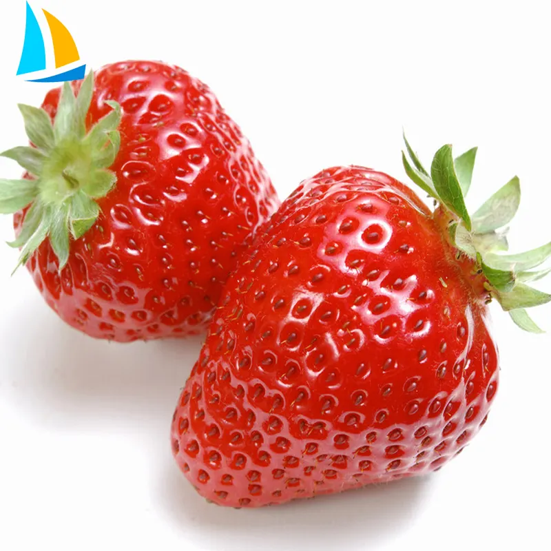 Agricultural Plants Tunnel Strawberries Hydroponic Growing Systems Strawberry Greenhouse