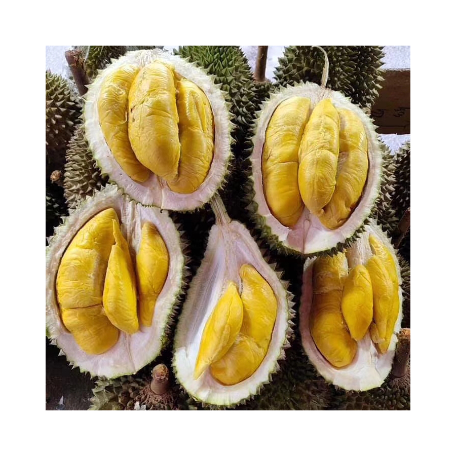 Premium High Quality Hill Fresh Musang King Durian D197 Famous Tropical Fresh Fruit From Malaysia Sweet Creamy Thick Flavor