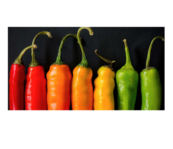 Top Grade Quality Big Supplier with Competitive Price - Fresh Red Chili - With Tight Export Standard From UK Best Selling